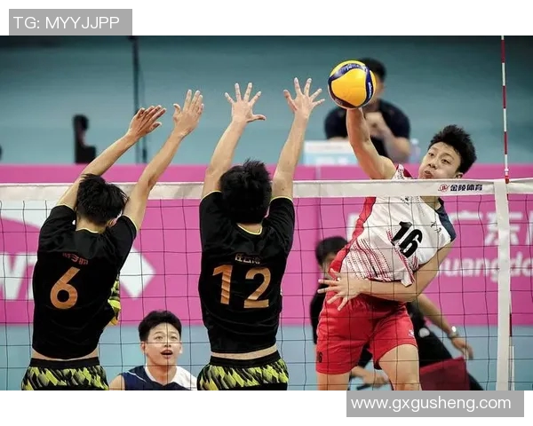 重庆排球队的实力分析与发展潜力探讨 重庆排球队的实力分析与发展潜力探讨