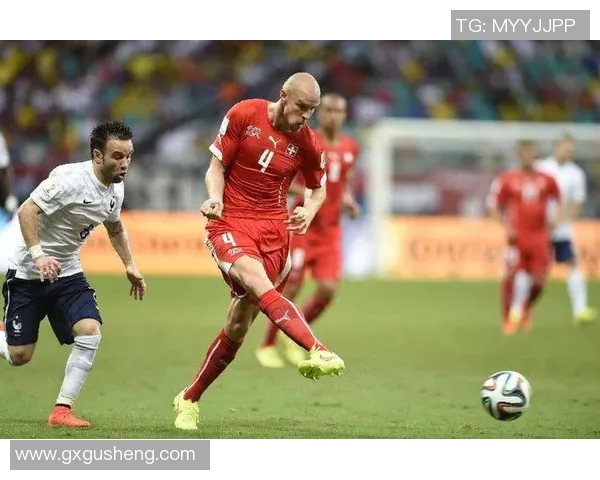 爱尔兰对阵瑞典比赛分析及大小球投注建议详解 爱尔兰对阵瑞典比赛分析及大小球投注建议详解