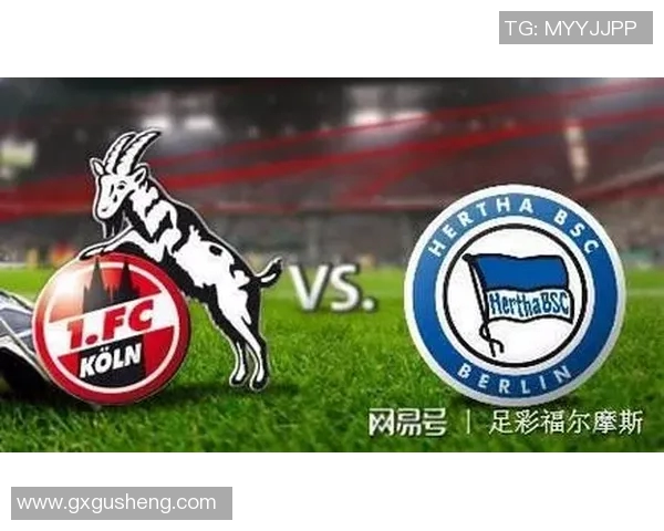 南锡与尼奥尔2017年精彩对决回顾及赛季表现分析