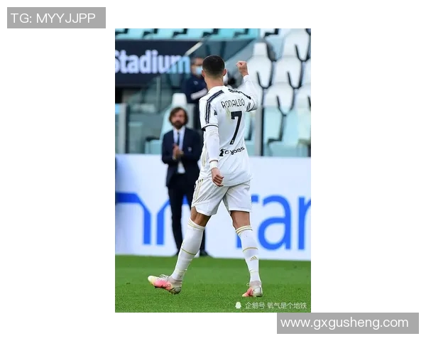 巴西对阵法国究竟谁更具优势分析与预测