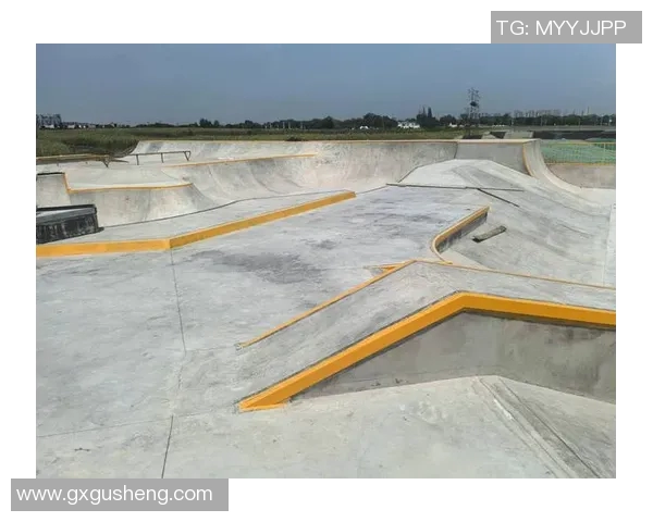 北京极限运动队的灵活性研究与发展趋势分析MBA