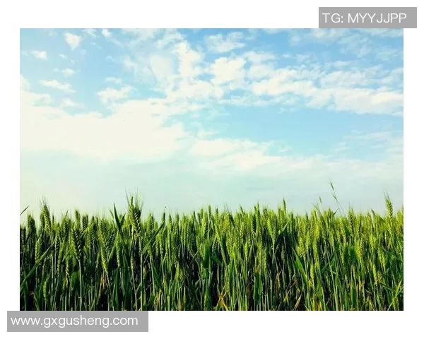 萨林杰的文学世界与心灵探索：从麦田里的守望者看其独特的创作风格与人生哲学