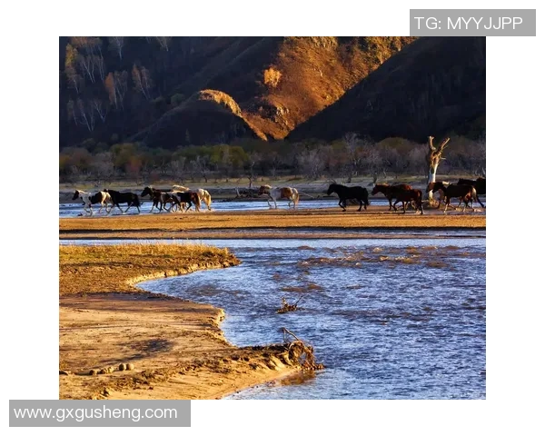 探索阿拉巴的历史与文化魅力揭示这片土地的独特风情与人文底蕴