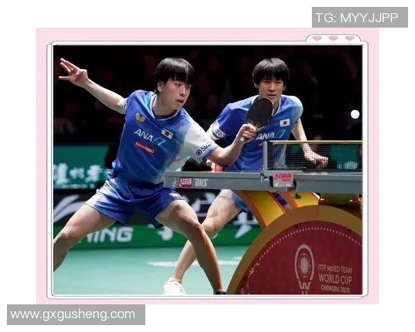 成都乒乓球队防守技巧揭秘深度分析乒乓球战术与训练方法