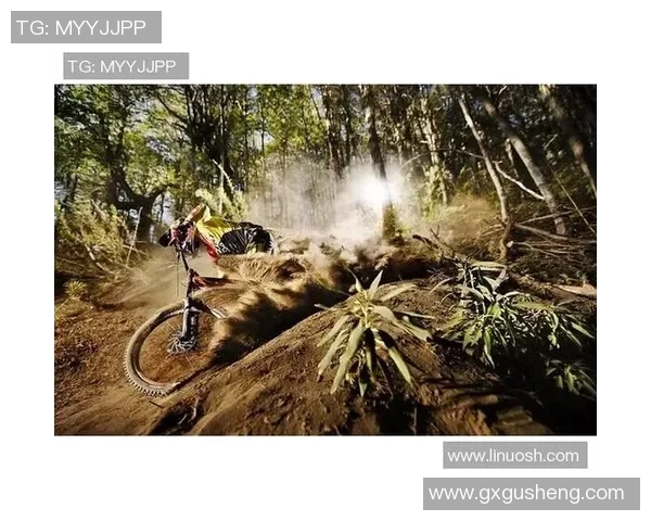 成都极限运动队的控制打法深度分析与战术解析