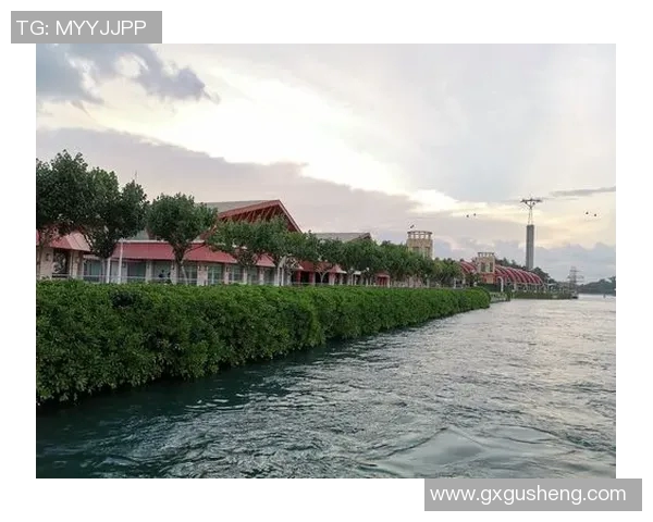 深圳极限运动队协作技巧深度剖析与对比研究