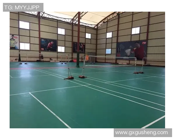 深入探讨上海羽毛球队的战术配合与个人技术对比分析