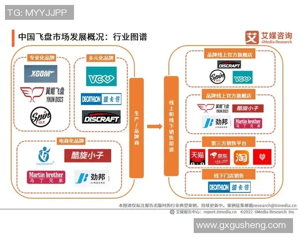 深入探讨上海飞盘队的力量表现与数据分析背后的秘密