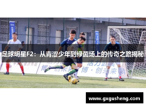 足球明星F2：从青涩少年到绿茵场上的传奇之路揭秘