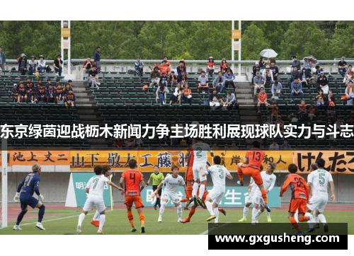 东京绿茵迎战枥木新闻力争主场胜利展现球队实力与斗志