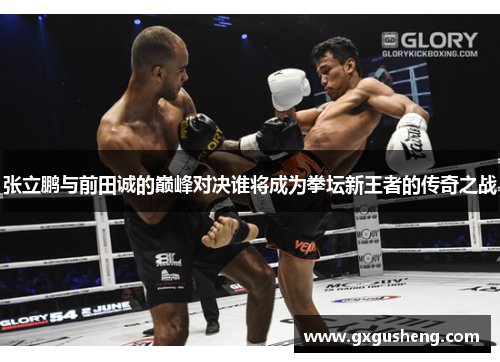 张立鹏与前田诚的巅峰对决谁将成为拳坛新王者的传奇之战