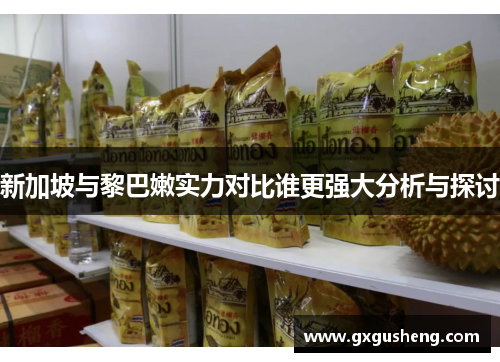 新加坡与黎巴嫩实力对比谁更强大分析与探讨
