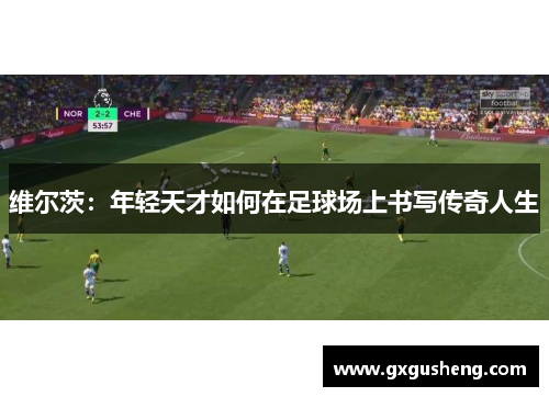 维尔茨：年轻天才如何在足球场上书写传奇人生